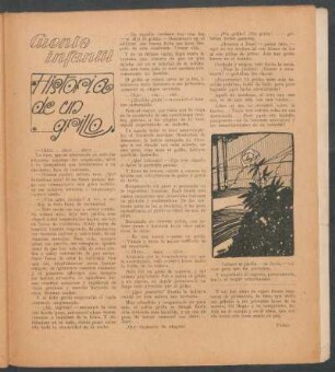 Historia de un grillo : Cuento infantil