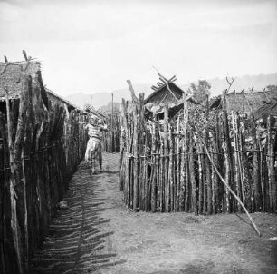 Gasse zwischen Gehöften : Gasse durch umzäunte Gehöfte der Bubi im Hochland Mokas.