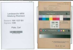 Entnazifizierung Carl Plate , geb. 00.00.0000 (Amtsrat)