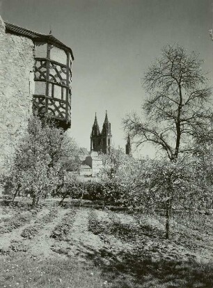 Meißen, Fachwerkerker + blühende Obstbäume