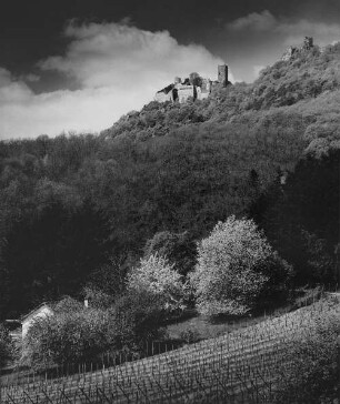 Archivfotografie "frankreich_elsass_rappoldsweiler_23055"