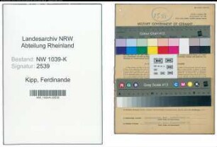 Entnazifizierung Ferdinande Kipp , geb. 28.05.1900 (Lehrerin)