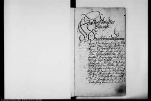 Lehnsbuch des Fürstentums Halberstadt