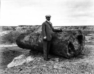 Petrified-Forest-Nationalpark : Portrait eines Mannes neben einem versteinerten Baumstamm im Petrified-Forest-Nationalpark.