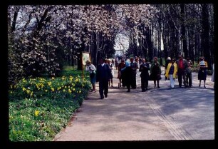 Botan. Garten 19.4.76.
