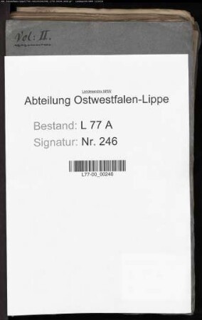 Ratswahl im Flecken Lage, Bd. 2