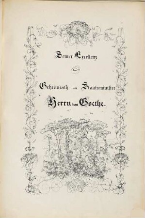 Randzeichnungen zu Goethe's Balladen und Romanzen von Eugen Neureuther : 1829