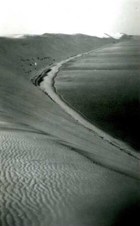 Kurische Nehrung