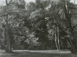 Parklandschaft