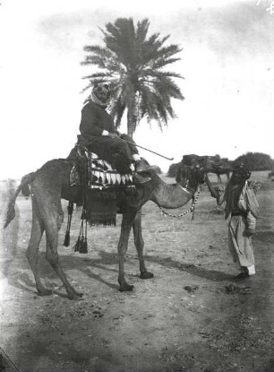 Hermann Burchardt auf der Reise zwischen Hofuf und El Gittr.