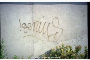 !geniuS