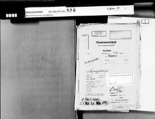 Beklagter: Meurer, Konrad; Zeuge: Meurer, Petronella, geb. Rheinartz: Betrug