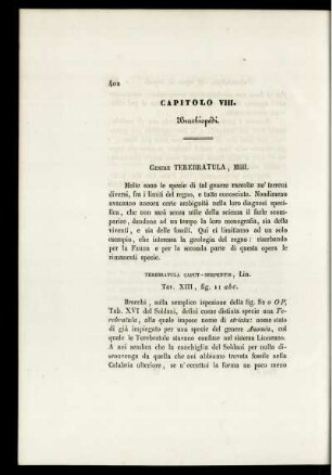 Capitolo VIII.