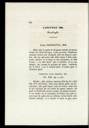 Capitolo VIII.
