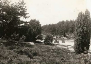 Lüneburger Heide, Weißer Grund bei Hützel