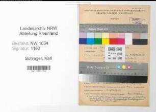 Entnazifizierung Karl Schleger , geb. 21.10.1878 (Oberwerftsekretaer)