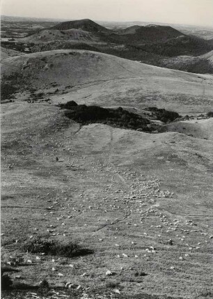 Schafherden durchziehen die Monts Domes bei Clermont-Ferrand