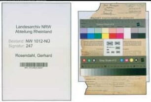 Entnazifizierung Gerhard Rosendahl , geb. 28.01.1881 (Kaufmann)