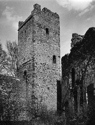 Pelm. Kasselburg (1100/1200). Bergfried (1020/1250)