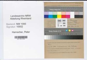 Entnazifizierung Peter Hamacher, geb. 03.09.1895 (Bankangest.)