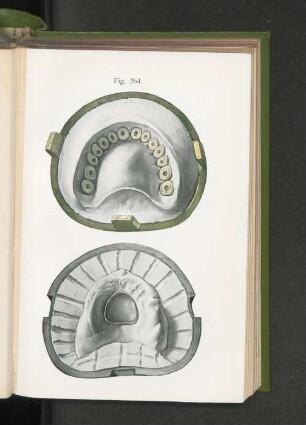 Fig. 264.