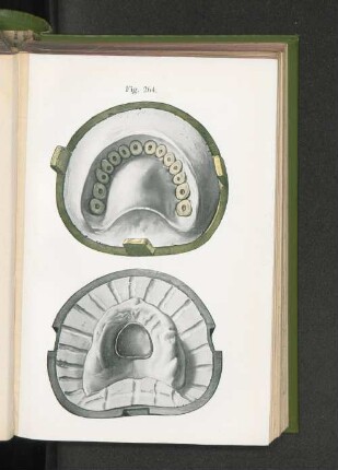 Fig. 264.