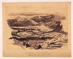 Bild Knüppeldamm Steinhauser Ried
