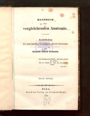 Handbuch der vergleichenden Anatomie : Leitfaden bei academischen Vorlesungen und für Studierende