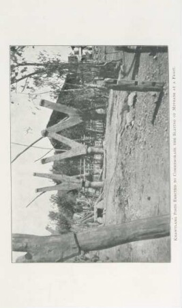 Khawtlang posts erected to commemorate the slaying of Mithans at a feast