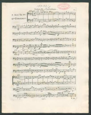 Violoncello e Contrabasso