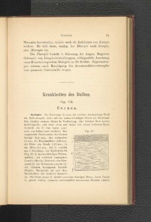 Krankheiten des Bulbus.