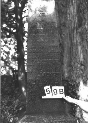 Grabstein 58 (Index: 100081682) Material: Granit Zustand: gut Maße HxBxT: 224x51x47 cm Beschreibung: Obelisk, Sockel Steinmetz: Löffler: Grabstein 58B (2)