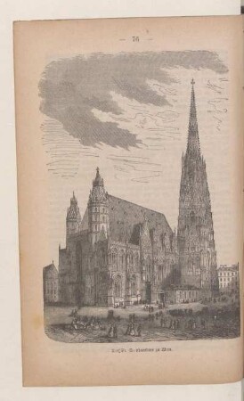 Der St. Stephansdom in Wien