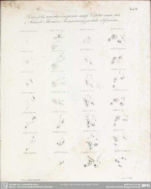TAB. IV. Duae solis maculae conspicuae mense Octobri anni 1826 a Samueli Thoma a Soemmerring quotidie observatae