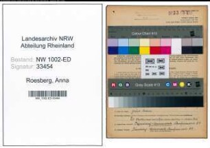 Entnazifizierung Anna Roesberg, geb. 17.03.1895 (Studienraetin)