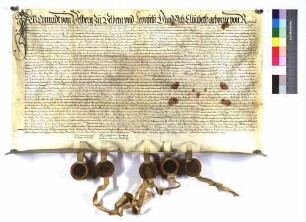 "Testament Konrad von Vellberg zu Vellberg und Leonfeld und desse Ehegemahlin Elisabetha geborene von Rinderbach" (Altrep. S. 139)