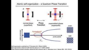 Cold Atoms Exercise: Cavity-mediated long-range interaction