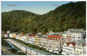 Karlsbad. Alte Wiese