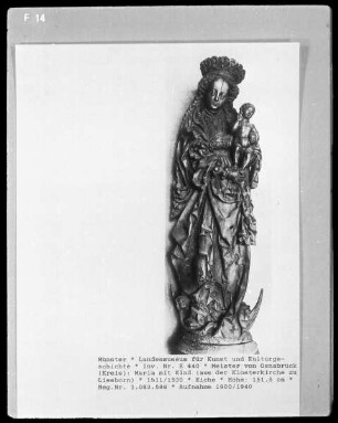 Immaculata