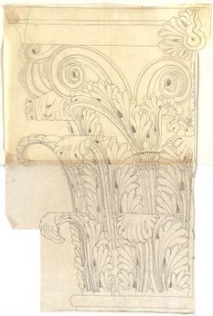 Röhrer, Karl; Ornamentstudien - Korinthisches Kapitell (Ansicht)