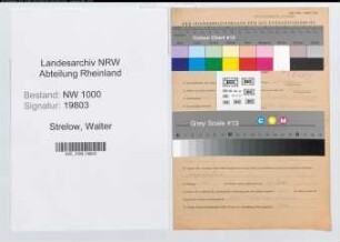 Entnazifizierung Walter Strelow, geb. 25.10.1913 (Angest.)