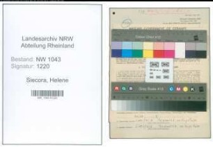 Entnazifizierung Helene Siecora , geb. 29.05.1896 (Lehrerin)