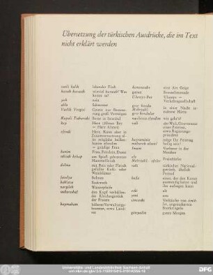 Übersetzung der türkischen Ausdrücke, die im Text nicht erklärt werden