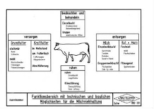 Funktionsbereich mit technischen und baulichen Möglichkeiten für die Milchviehhaltung