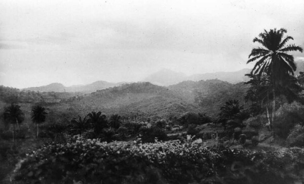 Landscape at the Cameroon Mountains