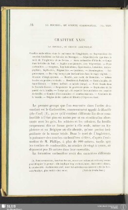 Chapitre XXIV. La Houille, ou groupe carbonifère