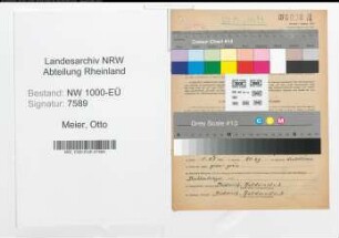 Entnazifizierung Otto Meier, geb. 02.06.1895 (Kaufmann)