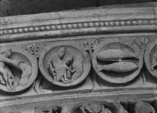 Februar und Fische