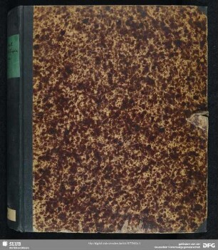 [2]: Il governo di famiglia in Toscana (Band 2 von 2) - Mscr.Dresd.App.616,Bd.2