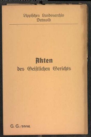 Maurergeselle Heinrich Kuhle zu Reelkirchen und Sophie Rey gegen den Vater der Rey Kolon Rey Nr. 4 zu Reelkirchen, wegen eines Ehekonsens